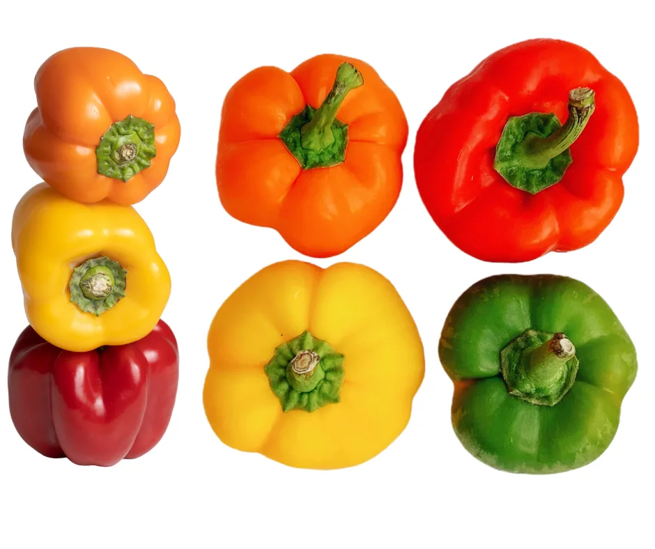 All Different Bell Peppers