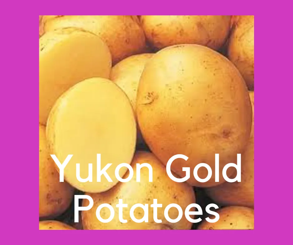 Yukon Gold Potatoes